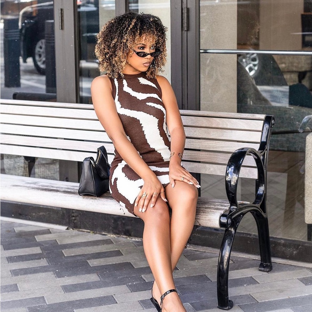 Zebra Striped Sweater Dress